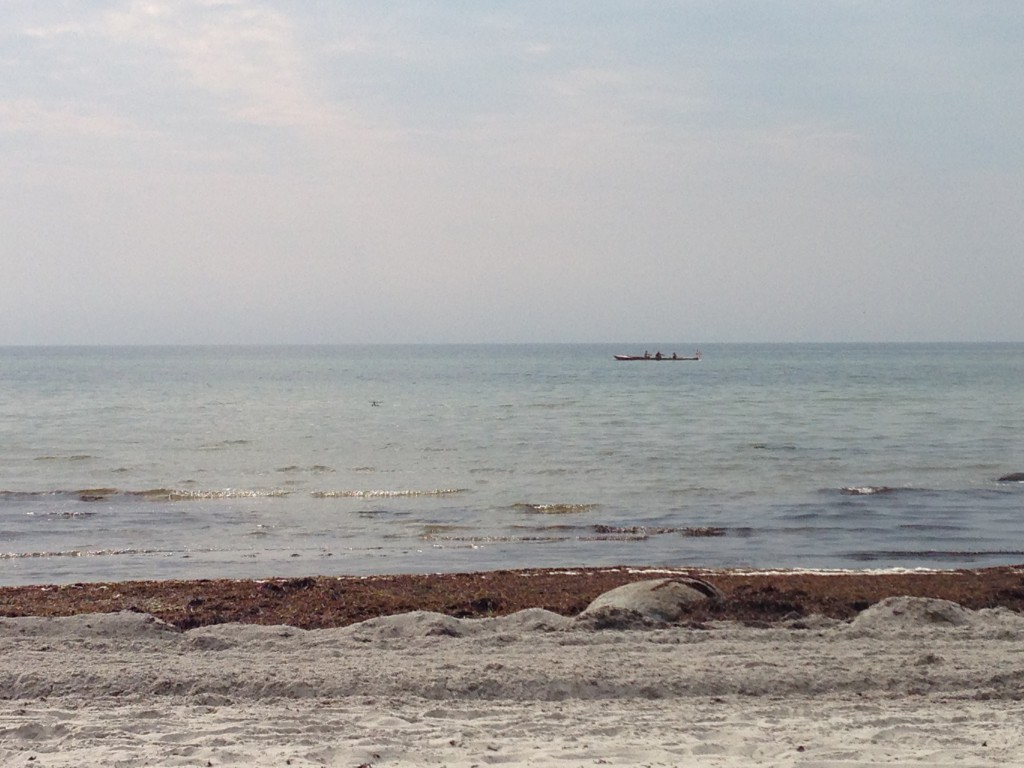 Fra strandkanten ser man ofte robåde fra den lokale roklub i Faxeladeplads