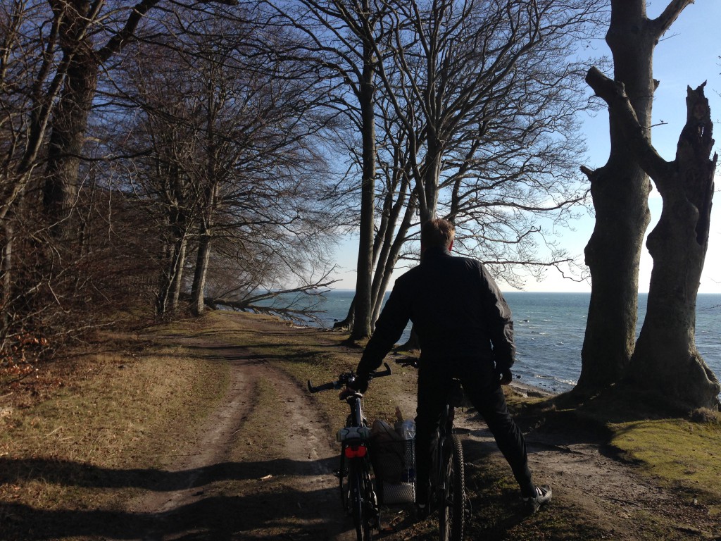 Vi cykler selv. Der er ikke noget skønnere end en tur gennem skoven med den skarpe morgensol og udsigt til det blå hav. Her er vi på strækningen mellem Faxe Ladeplads og Vemmetofte.